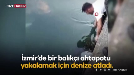 Ahtapotu denize atlayıp eliyle yakaladı
