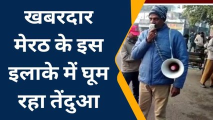 मेरठ: 'सावधान! यहां घूम रहा है तेंदुआ', बाजार में हुई मुनादी तो मच गया हड़कंप