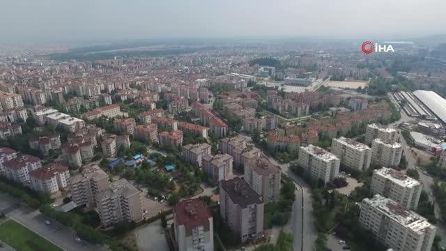 Nilüfer Belediye Başkanı Turgay Erdem: Sokak hayvanları Türkiye'nin meselesi