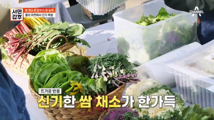 귀농으로 연 매출 10억♨ 어디서도 보지 못했던 희귀한 쌈채소를 다량으로 생산하는 비결은?!