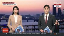 새떼 이어 이번엔 '풍선'…전투기 발진에 수도권 주민 '깜짝'