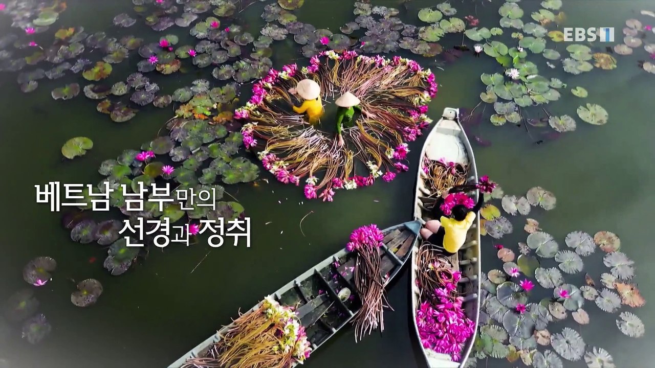 세계테마기행 - 알수록 놀라운, 베트남 남부- 우리들의 파라다이스, 리선섬_#001