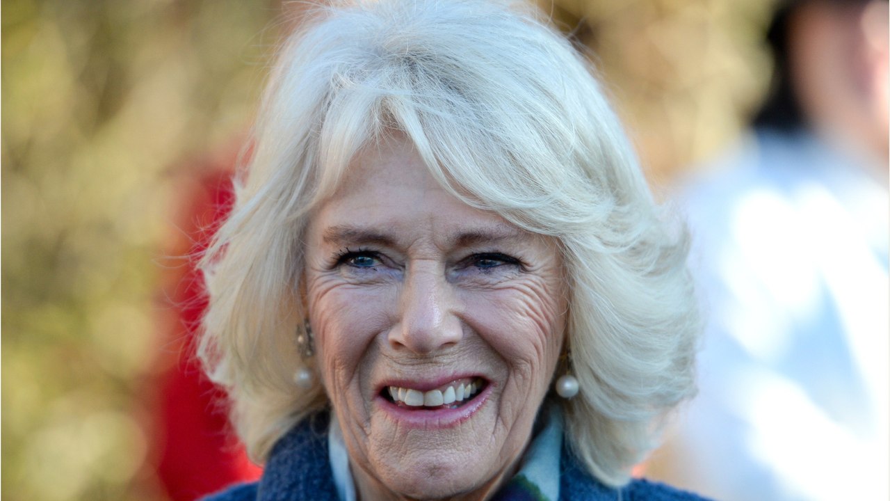 VOICI : Camilla Parker Bowles mal à l’aise à Noël : ce rôle qu’a joué le prince Louis pour aider la reine consort (1)