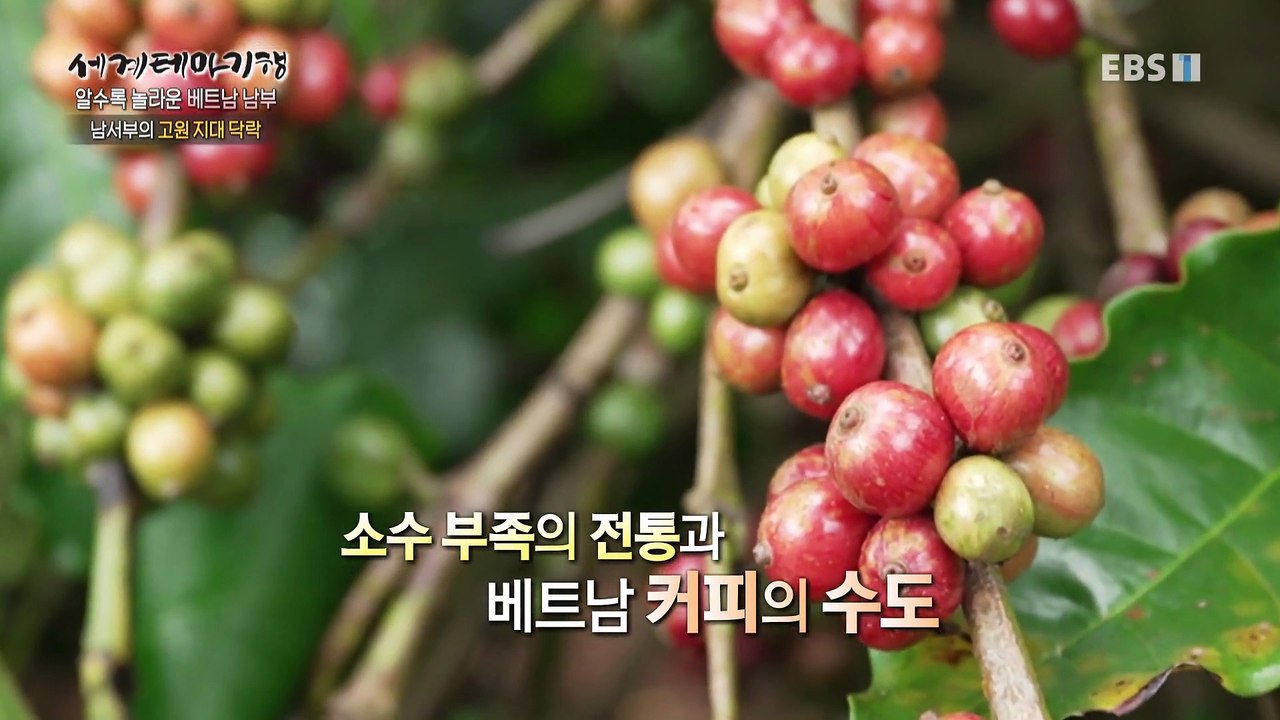 세계테마기행 - 알수록 놀라운, 베트남 남부- 우리들의 파라다이스, 리선섬_#003
