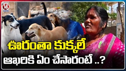 Ground Report _  Street Dogs Fear In Gunded Village _ Balanagar _ Mahabubnagar _  V6 News