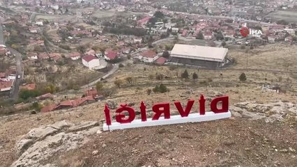 Divriği'de dağ keçisi sürüsü görüntülendi