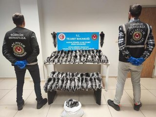 Aktaş Gümrük Kapısı'nda 2 milyon liralık çinçilla postu ele geçirildi