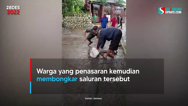 Ular Sanca Kabur Terekam CCTV, Warga Bantarpanjang Sukabumi Waswas