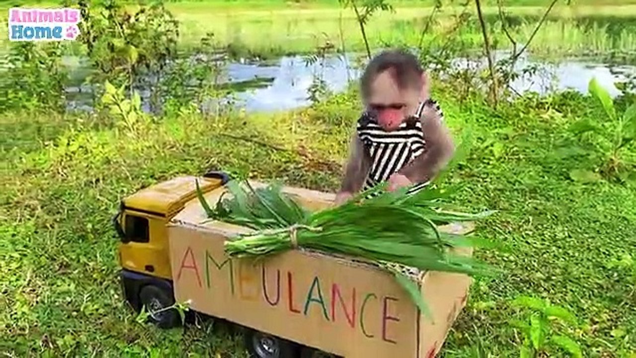 Farmer_BiBi_obedient_take_care_of_her_friends(360p)