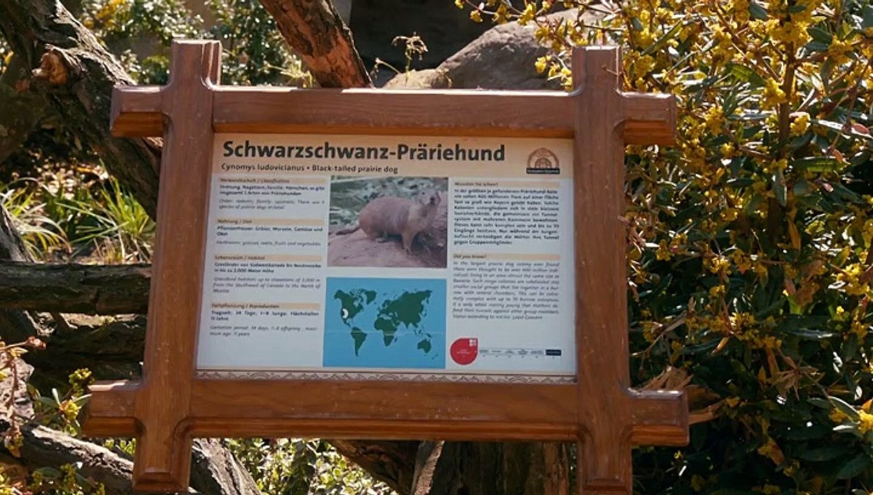 Tierärztin Dr. Mertens Staffel 5 Folge 7