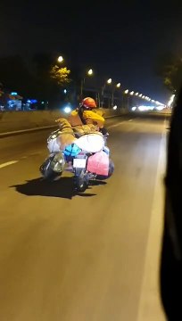 Gia đình lỉnh kỉnh đồ về Tết vẫn dắt theo 3 cún cưng: Tết to hay nhỏ đều được miễn có nhau