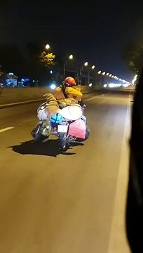 Gia đình lỉnh kỉnh đồ về Tết vẫn dắt theo 3 cún cưng: Tết to hay nhỏ đều được miễn có nhau