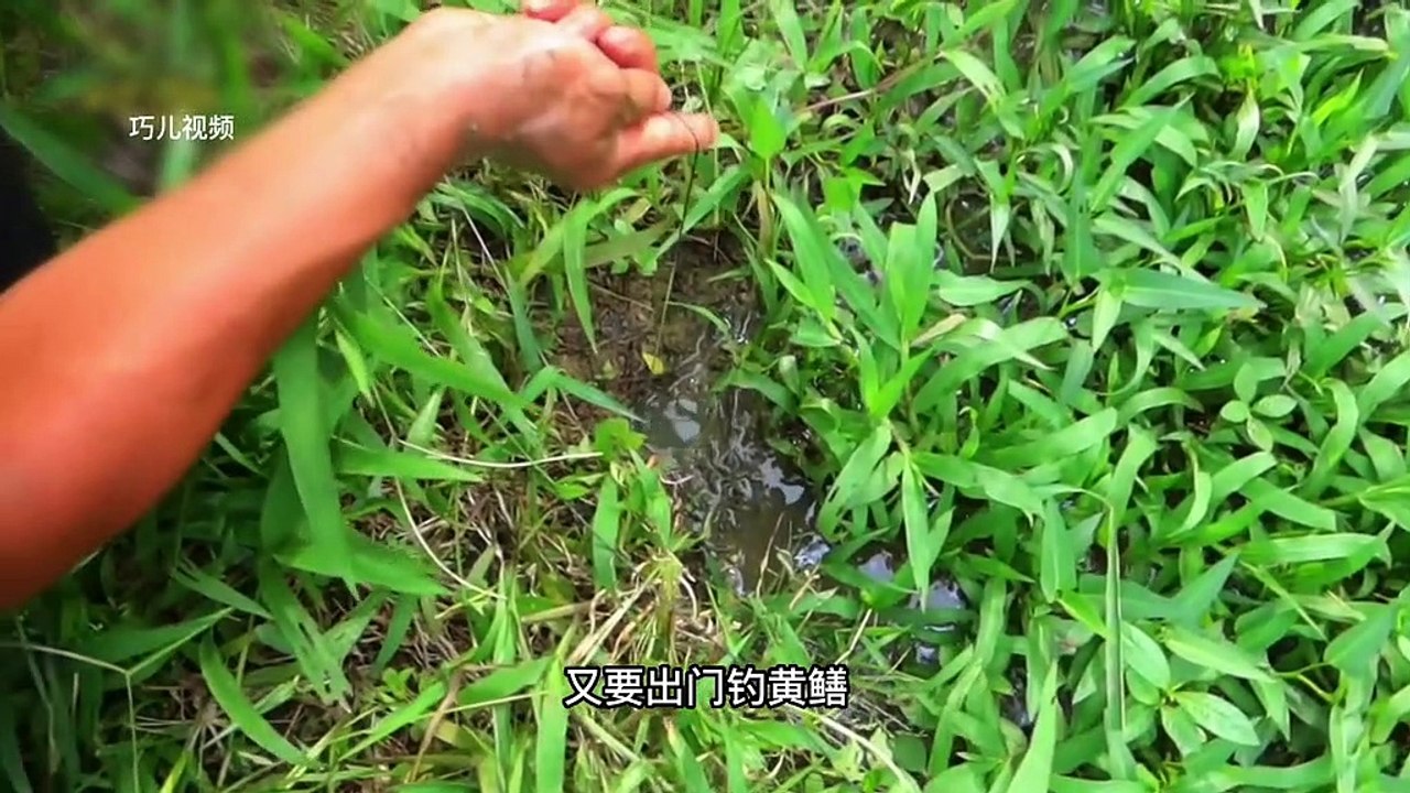 The Vietnamese guys had an eel fishing competition. The guy pulled out a five-pound eel from the water, and instantly stunned several people.   Catch fish and touch shrimp # Documentary Charging Project Animals