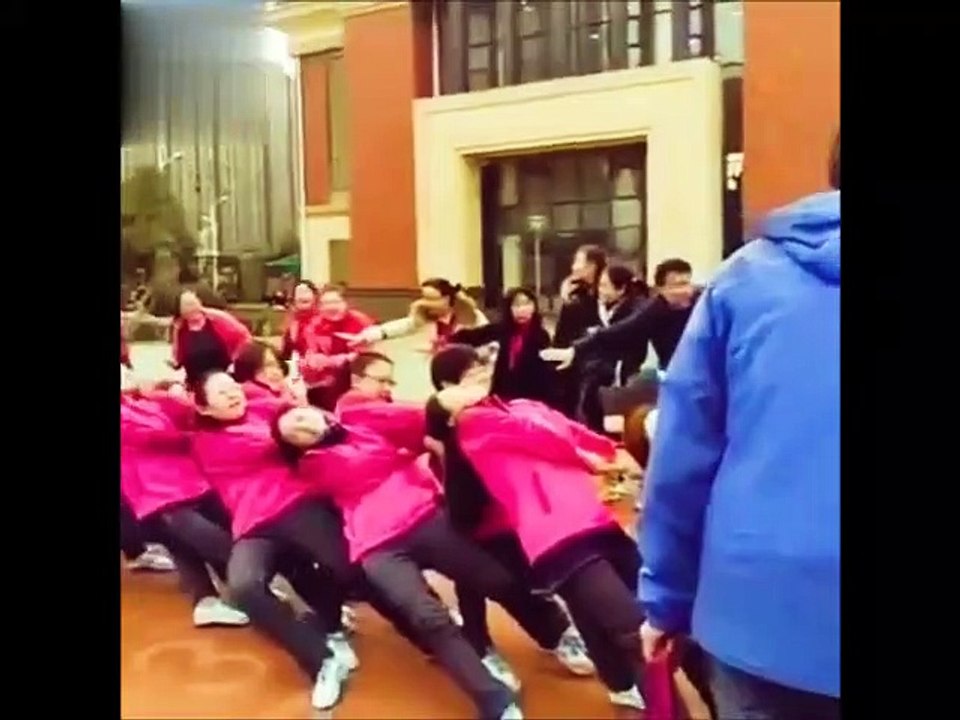 Just Enjoy: Funny videos of 2022