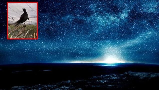 Gece gökyüzünde bu sesi duyanlara bir irkilme geliyor! Videoyu izleyince siz de şaşıracaksınız