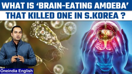 Download Video: 'Brain-eating Amoeba' claims life in S. Korea; Another Covid in the making? |Oneindia News*Explainer