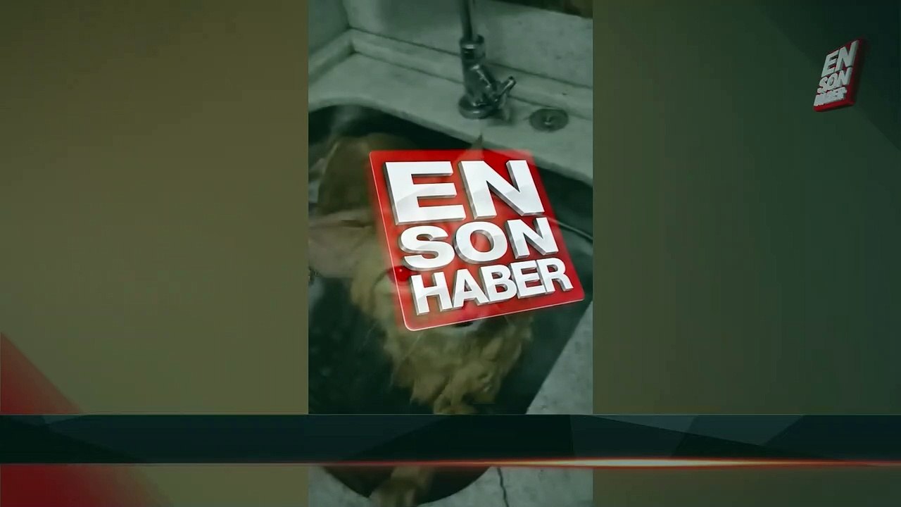 Söylene söylene yıkanan sevimli sarman