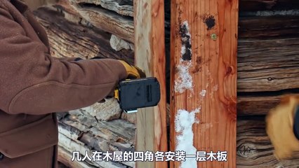 In order to protect the safety of 600 bulls, the hunter transfers a wooden house to the cattle farm and lives in it permanently #documentary # #hunter hunt #外