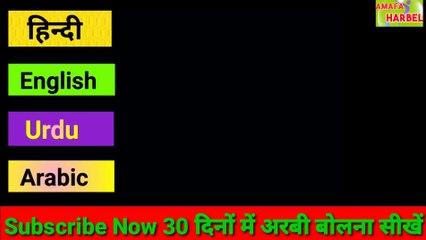 अरबी भाषा कैसे सीखते हैं