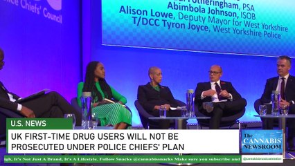 UK First-time Drug Users Will Not be Prosecuted Under Police Chiefs' Plan