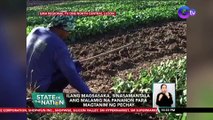 Ilang magsasaka, sinasamantala ang malamig na panahon para magtanim ng pechay | SONA