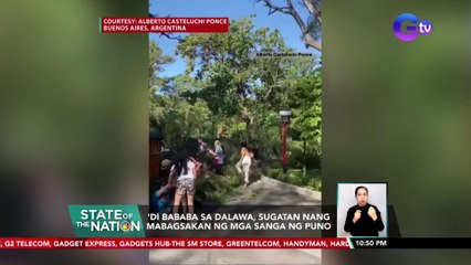 'Di bababa sa dalawa, sugatan nang mabagsakan ng mga sanga ng puno | SONA