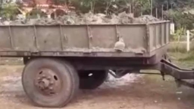 অবৈধ মাটি পাচার !ধরা পড়ে হাউমাউ কান্না !