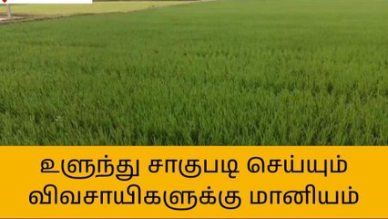 புதுக்கோட்டை: உளுந்து சாகுபடி செய்யும் விவசாயிகளுக்கு மானியம் அறிவிப்பு