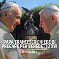 Papa Francesco: 