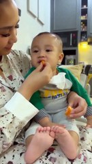Ini yang bikin lucu Cipung lagi makan jeruk