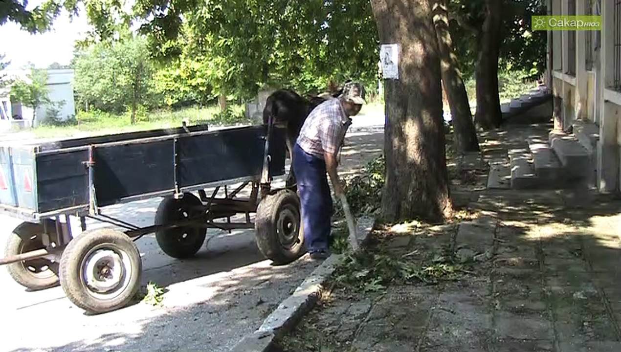 Градушка край село Доситеево, 2010 г.