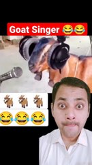 Goat Singer #shorts #funny #viral