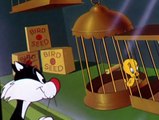 Looney Tunes Golden Collection Looney Tunes Golden Collection S02 E036 Ain’t She Tweet