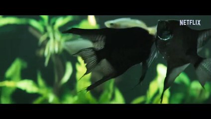 Une nuit à la maternelle Bande-annonce (PL)