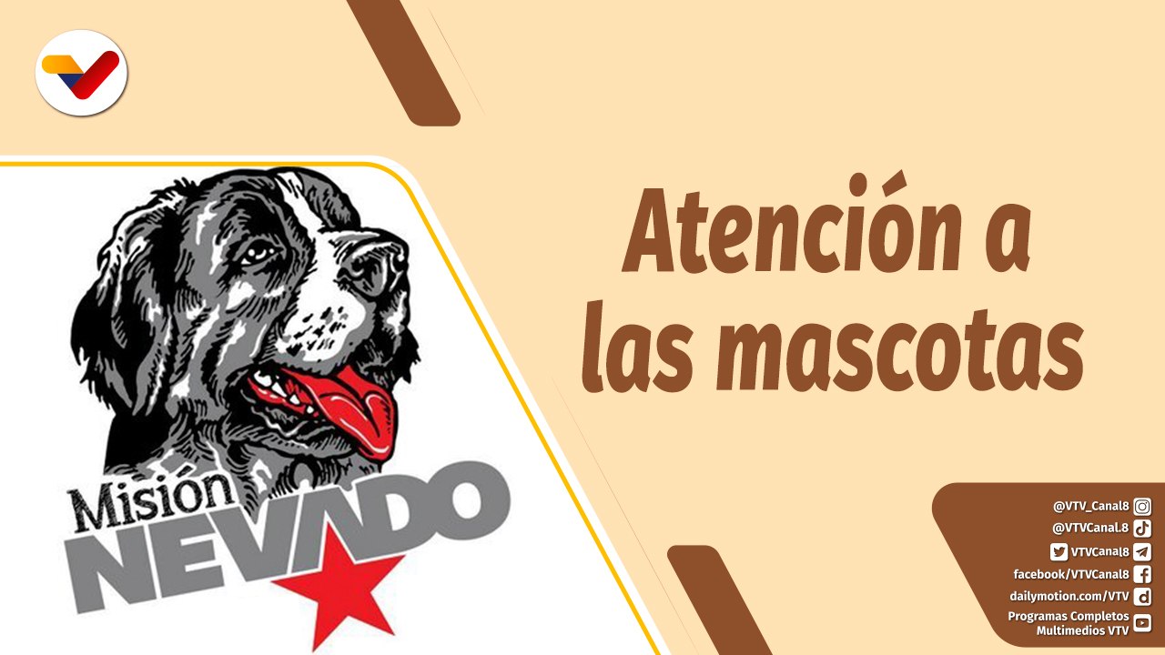 Café en la Mañana | Misión Nevado cumple 9 años brindando protección y resguardo de las mascotas