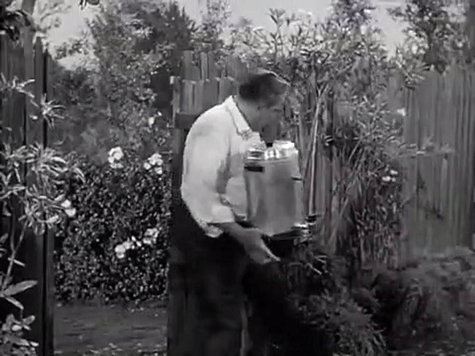 Mister Ed - Se5 - Ep01 HD Watch HD Deutsch