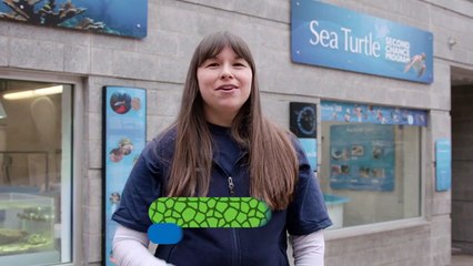 This Turtle Is Given a Second Chance at Life!