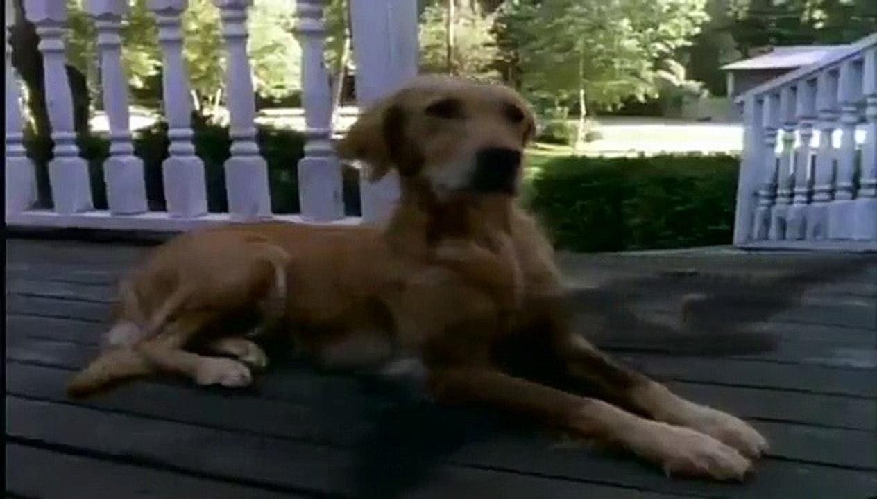 Goosebumps - Se2 - Ep18 - How to Kill a Monster HD Watch HD Deutsch