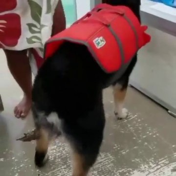 When your butt itches, but don’t wanna be caught scratching in public #Shorts