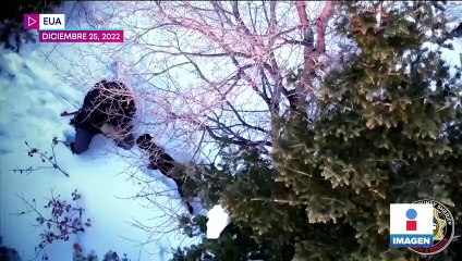 Así fue el rescate de "Nala", la perrita que se perdió en una zona montañosa de Utah