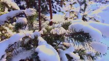 Jesu, Joy of Man's Desiring - Kevin MacLeod | Instrumental Christmas Music With Peaceful Winter Ambience