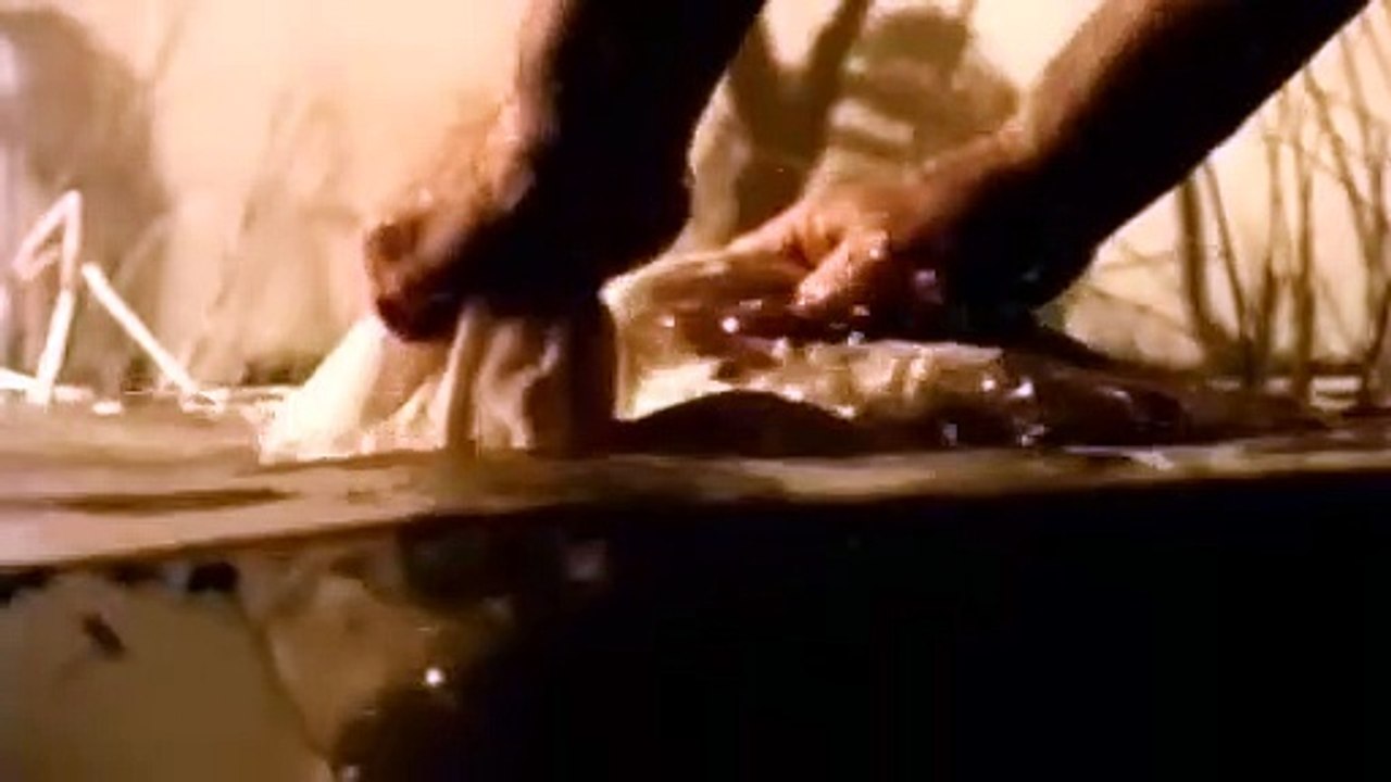 Lars von Triers Geister | Intro | 1994