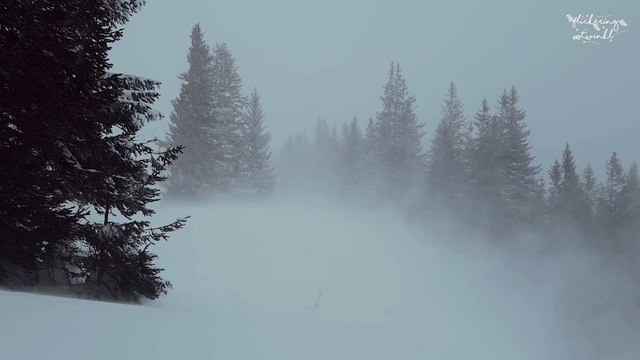 12 Days of Christmas - Jingle Punks | Instrumental Christmas Music | Relaxing Ambience | Joyeux Noël