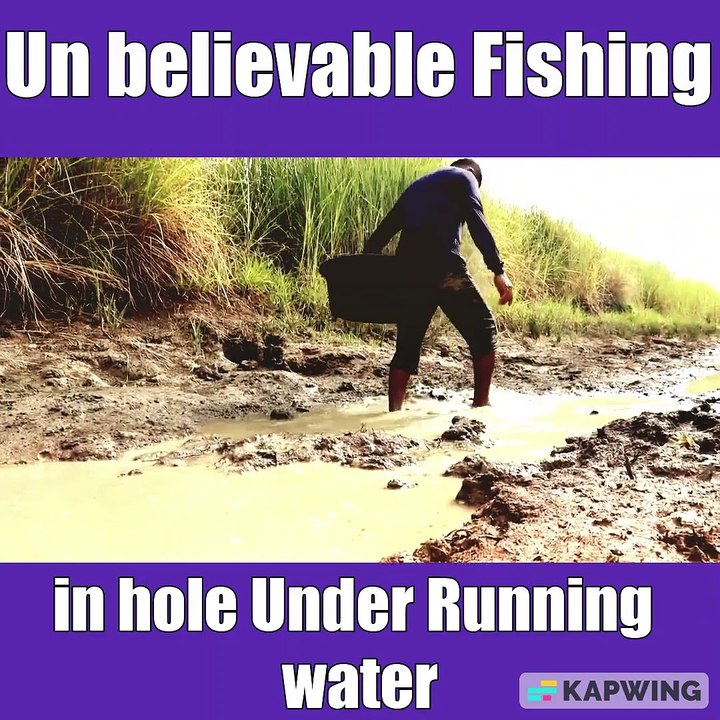 Un believable Fishing video by Hands catch a lot of White catfishes in hole Under Running water