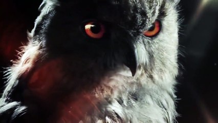 100 Code - Se01 - Ep02 Watch HD HD Deutsch