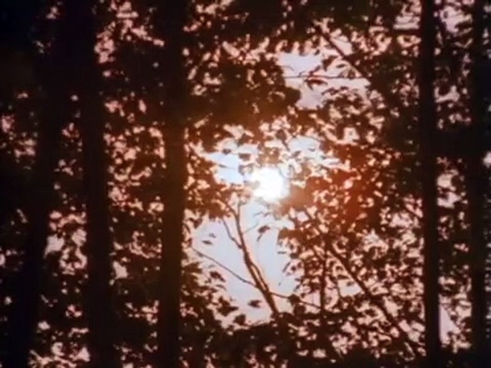 21 Jump Street - Se5 - Ep06 HD Watch HD Deutsch