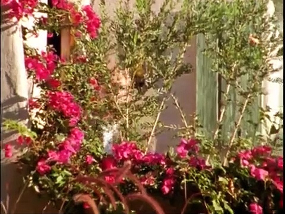 She Spies - Se1 - Ep06 HD Watch HD Deutsch