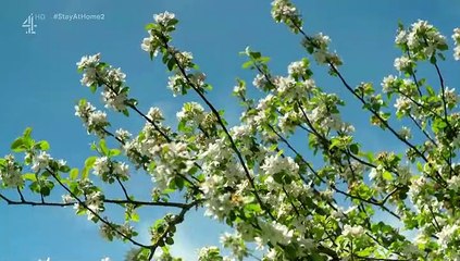 Sarah Beeny's New Life in the Country - Se1 - Ep02 HD Watch HD Deutsch