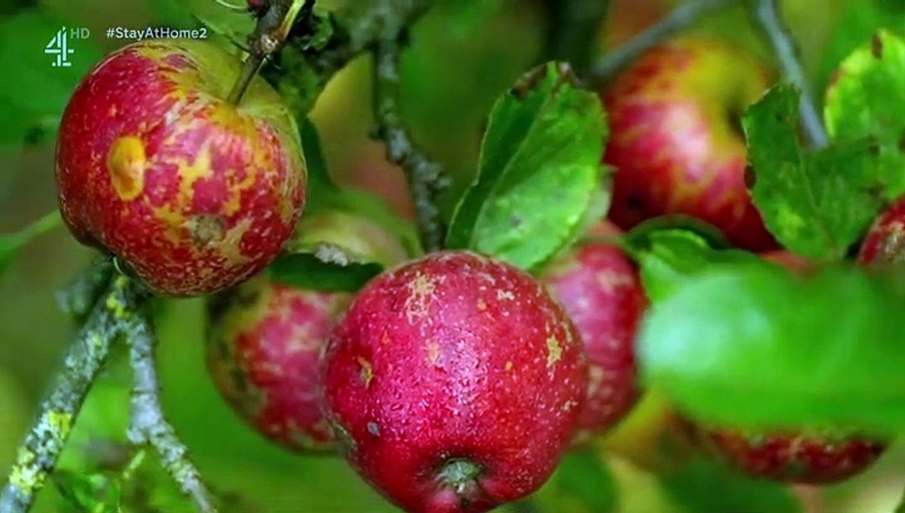 Sarah Beeny's New Life in the Country - Se1 - Ep03 HD Watch HD Deutsch