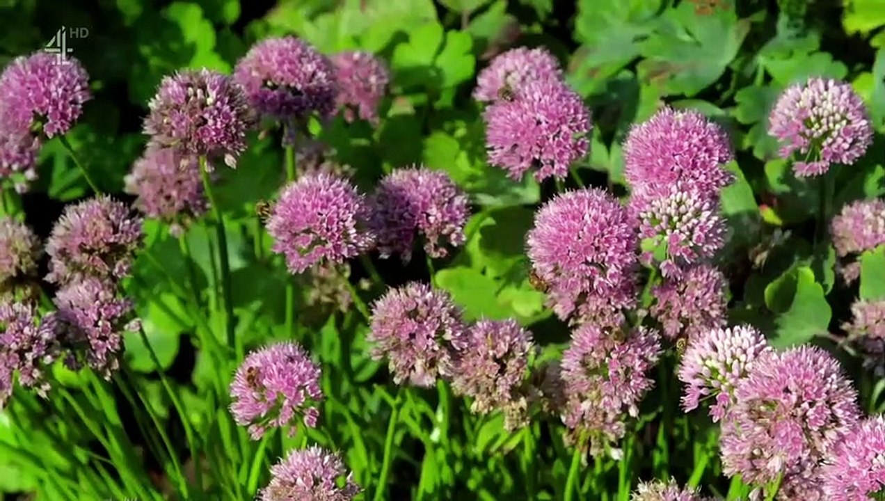 Sarah Beeny's New Life in the Country - Se1 - Ep06 HD Watch HD Deutsch